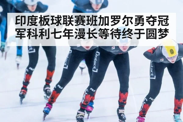 印度板球联赛班加罗尔勇夺冠军科利七年漫长等待终于圆梦